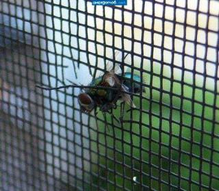 Всего anekdotov net. Всего anekdotov net. Всего anekdotov net. Всего anekdotov net. Всего anekdotov net.