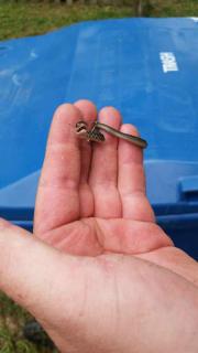 Прикольная картинка  прошедшего понедельника №197339