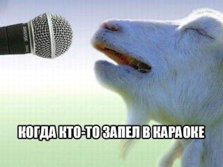 Прикольная картинка прошедшей субботы №258193