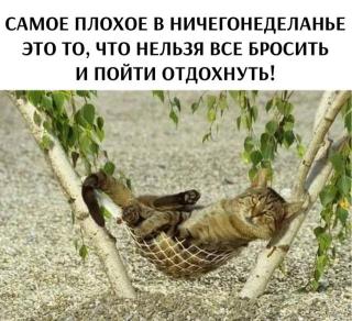 Прикол дня  прошедшего понедельника №207221