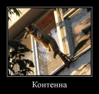 Прикол среды №200605