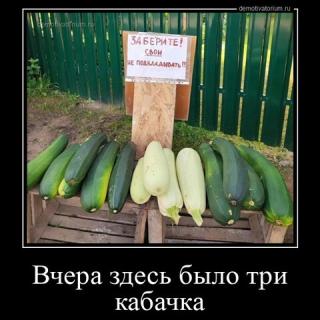 Прикол среды №202023