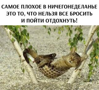 Прикол пятницы №206739