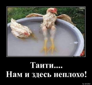 Прикол среды №207650