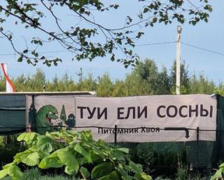 Прикол понедельника №208732