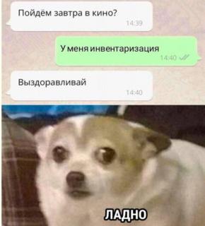 Прикол воскресения №254134