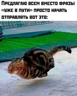 Прикол воскресения №254136