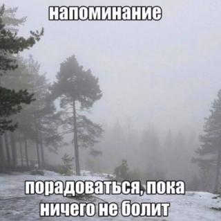 Прикол воскресения №254137