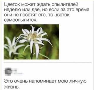 Прикол вторника №254325