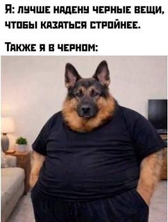 Прикол вторника №254328