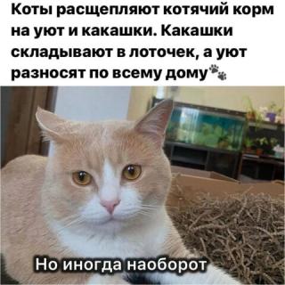 Прикол вторника №254349