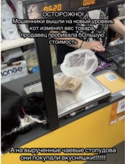 Прикол вторника №254350