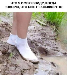 Прикол вторника №254353