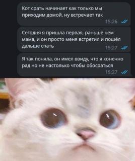 Прикол вторника №254355