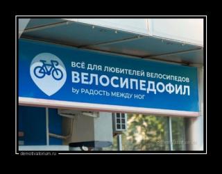 Демотиватор среды №202066