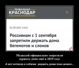 Картинка анекдот вторника №206040