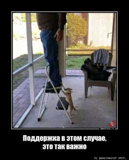 Картинка анекдот пятницы №209453