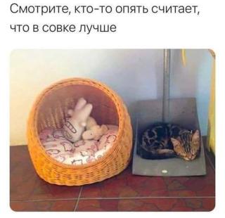 Прикольная картинка среды №177730