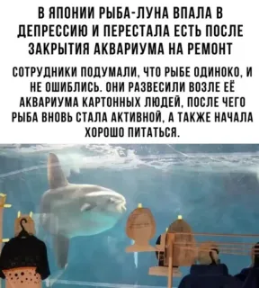 Прикольная картинка вторника №190350