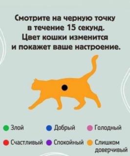 Прикольная картинка среды №191872