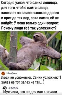 Прикольная картинка среды №193368