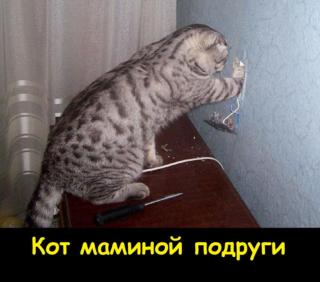 Прикольная картинка понедельника №194296