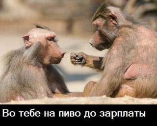 Прикольная картинка четверга №195086