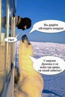 Прикольная картинка четверга №199340