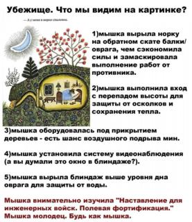 Прикольная картинка четверга №200874