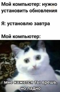 Прикольная картинка пятницы №201043