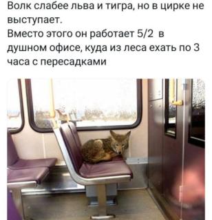 Прикольная картинка понедельника №201487