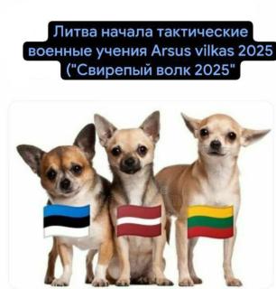 Прикольная картинка вторника №201888