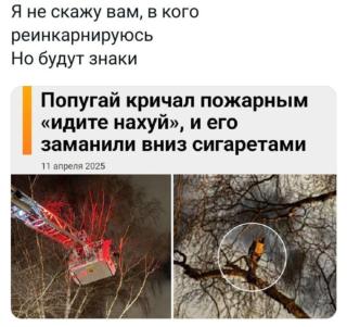 Прикольная картинка воскресения №204157