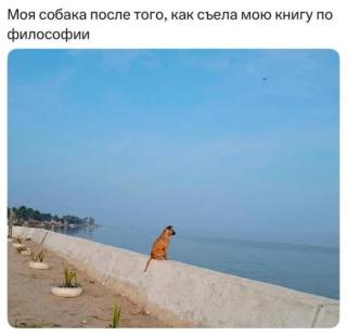Прикольная картинка воскресения №254120