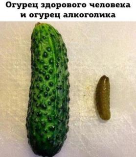 Прикольная картинка воскресения №254141
