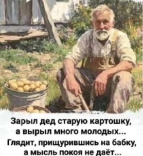 Прикольная картинка воскресения №254153