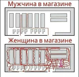 Прикольная картинка среды №255134