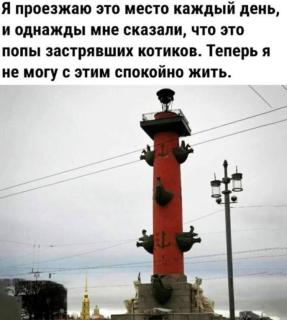 Прикольная картинка среды №255158