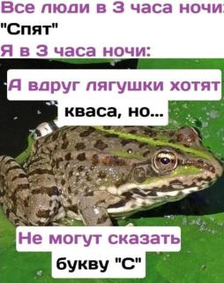 Прикольная картинка субботы №255493