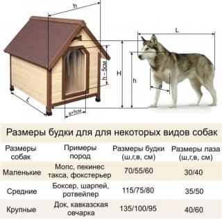 Прикольная картинка  прошедшего понедельника №149332