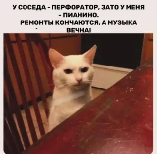 Прикольная картинка прошедшей субботы №258199