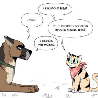 Картинка анекдот среды №255115