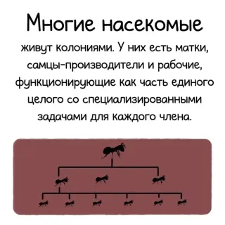 Картинка анекдот субботы №255507
