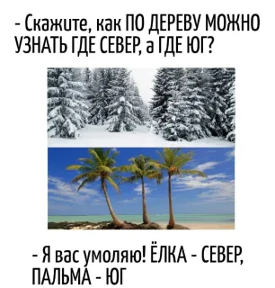 Смешная картинка понедельника №203031
