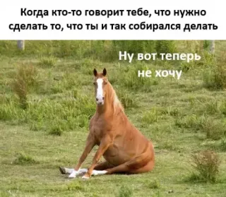 Прикольная картинка  прошедшего воскресения №191272