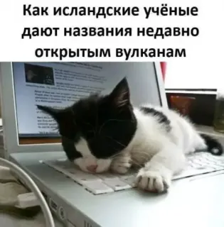 Прикольная картинка  прошедшего воскресения №191363