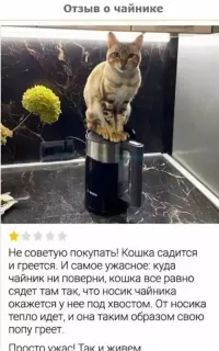 Прикольная картинка  прошедшего воскресения №191398