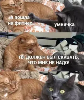 Прикольная картинка  прошедшего вторника №191642