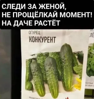 Прикольная картинка  прошедшего четверга №192209