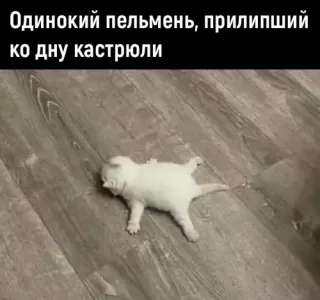 Прикольная картинка  прошедшего вторника №193015